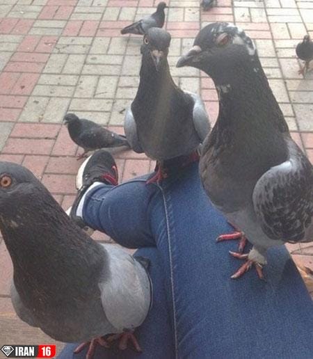 سری جدید و باحال عکس های خنده دار و طنز سری جدید و باحال عکس های خنده دار و طنز