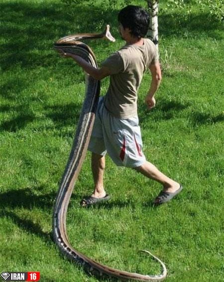 سری جدید و باحال عکس های خنده دار و طنز سری جدید و باحال عکس های خنده دار و طنز