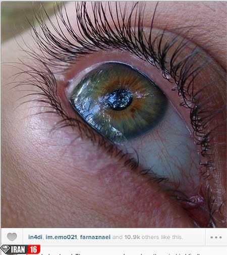 اخبار,اخبار فرهنگی ,بازیگران سینما در شبکههای اجتماعی اخبار,اخبار فرهنگی ,بازیگران سینما در شبکههای اجتماعی