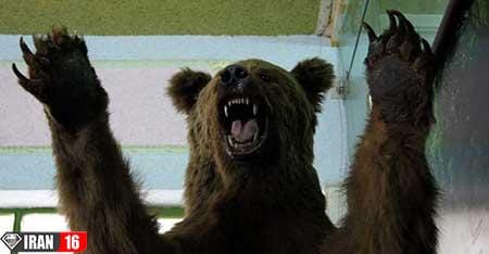 پارک ژوراسیک در تهران,پارک ژوراسیک,گردشگری