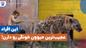 عجیب و غریب ترین حیوانات خانگی که مردم تو خونه هاشون نگه میدارند 11 images 1 1